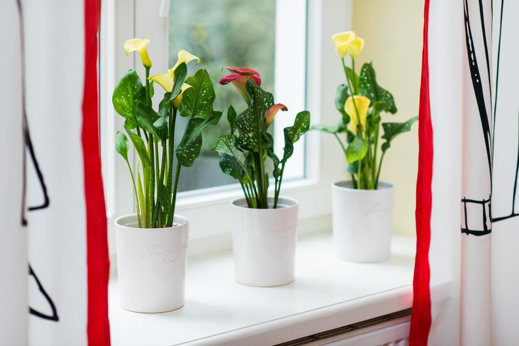 Style4Rent Sunny Old Town Apartments クラクフ 部屋 写真